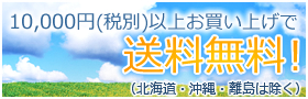 10,000円以上お買い上げで送料無料！